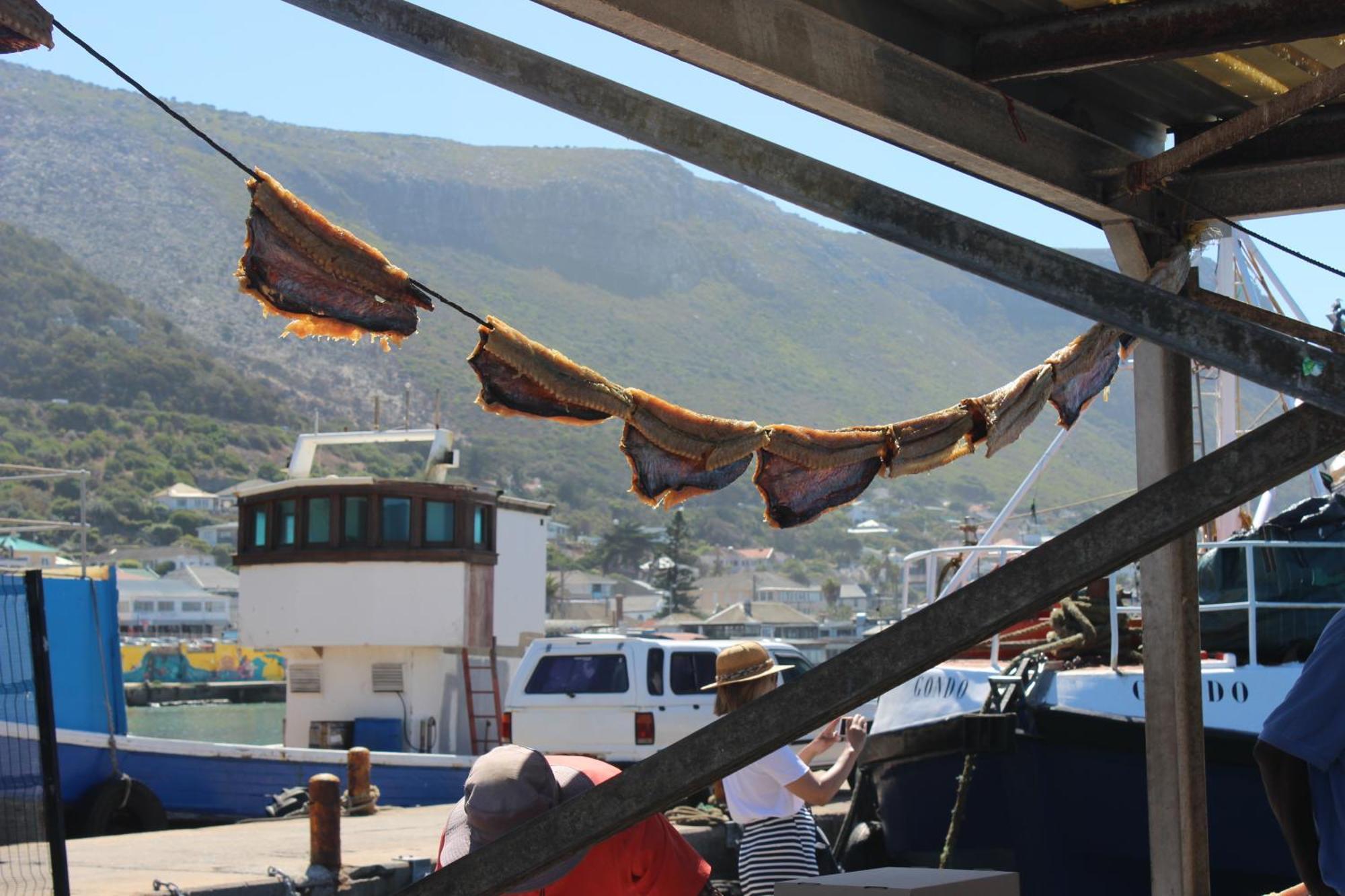 Harbour Views Apartment Kalk Bay